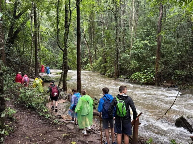 Chiang Mai: Doi Inthanon Park & 2 Hrs Trekking Pha Dok Siew - Exploring Doi Inthanon National Park: Nature and Majesty