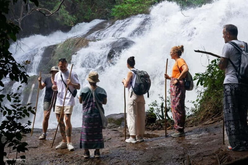 Chiang Mai: Doi Inthanon Park & 2 Hrs Trekking Pha Dok Siew - The Trek: Pha Dok Siew Trail