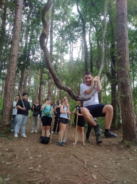 Chiang Mai: Doi Inthanon Park and Pha Dok Siew Hike Day Trip - Final Thoughts