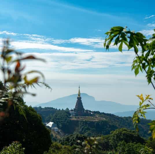 Chiang Mai: Doi Inthanon Park and Pha Dok Siew Trail Trek - A Detailed Look at the Tour Experience