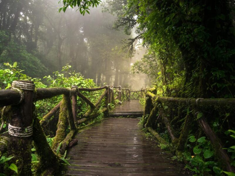 Chiang Mai: Doi Inthanon Park and Pha Dok Siew Trail Trek - Who Should Consider This Tour?