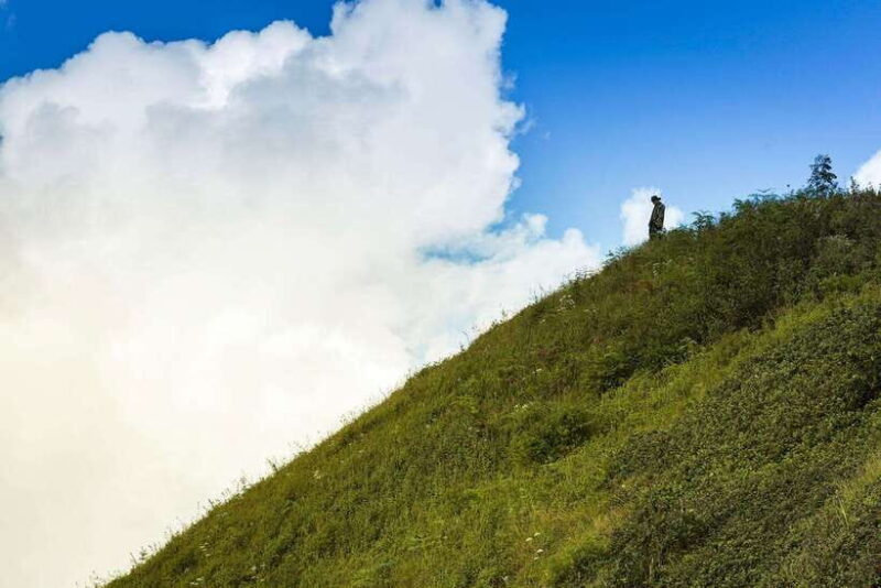 Chiang Mai: Doi Inthanon Park Tour & Kew Mae Pan Trail Hike - FAQ: Your Questions Answered