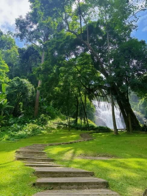 Chiang Mai Doi Inthanon Park Waterfall Pure Sightseeing Tour - Key Points