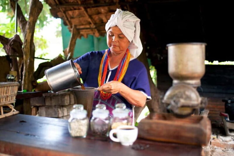 Chiang Mai Doi Inthanon Park Waterfall Pure Sightseeing Tour - Practical Tips for Travelers