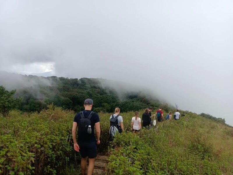 Chiang Mai: Doi Inthanon Park with Kew Mae Pan Hike Day Trip - Value for Money