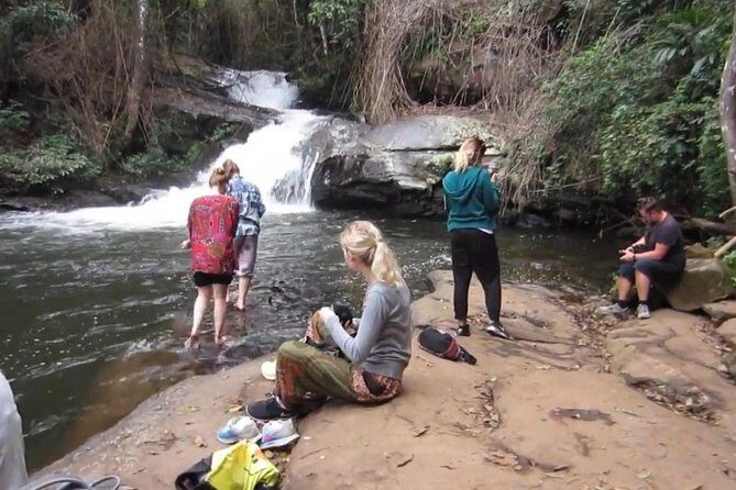 CHIANG MAI: Doi Inthanon-Trekking Pha Dok Seaw-Waterfall-Lunch - Hill Tribe Villages and Rice Terraces