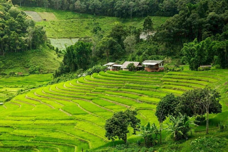Chiang Mai: Doi Inthanon Trip with Pha Dok Siew Guided Trek - The Sum Up