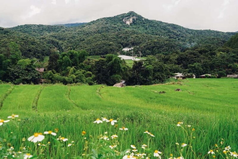 Chiang Mai: Doi Inthanon Trip with Pha Dok Siew Guided Trek - FAQ