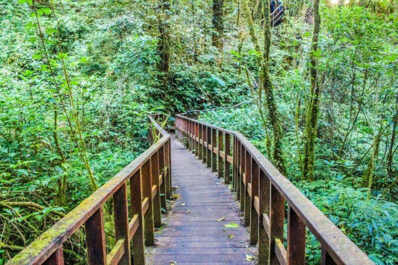 Chiang Mai: Doi Inthanon, Waterfalls, & Tribal Villages Tour - Final Thoughts