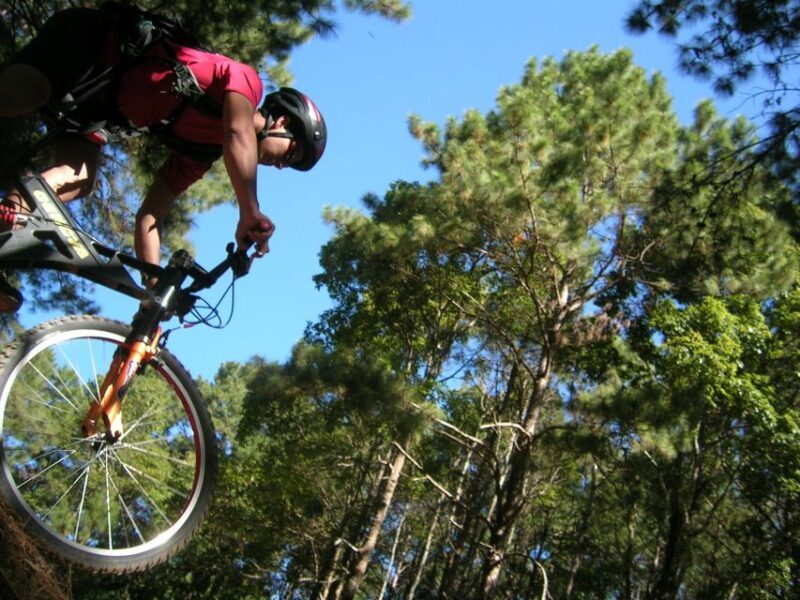 Chiang Mai: Doi Suthep National Park Leisure Hiking & Biking - Who Will Love This Tour?