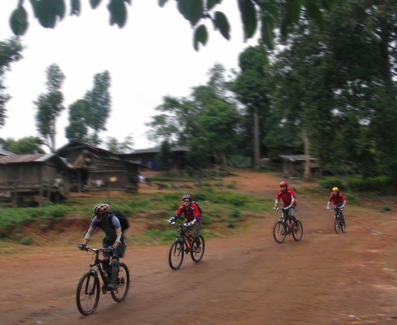 Chiang Mai: Doi Suthep National Park Leisure Hiking & Biking - FAQ