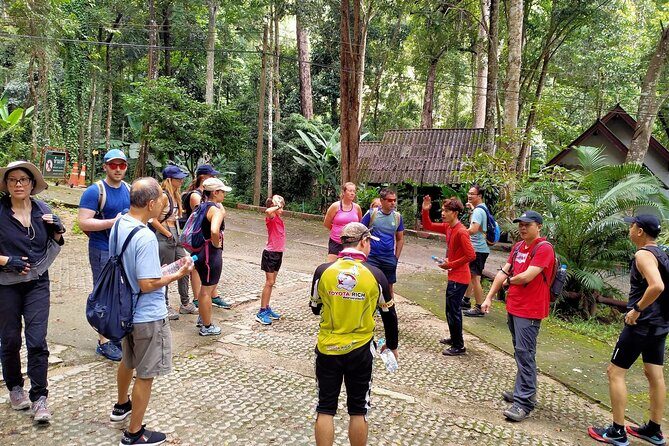 Chiang Mai: Doi Suthep Summit Trek  7 Hour Pure Hiking Adventure - What Makes This Tour Special?