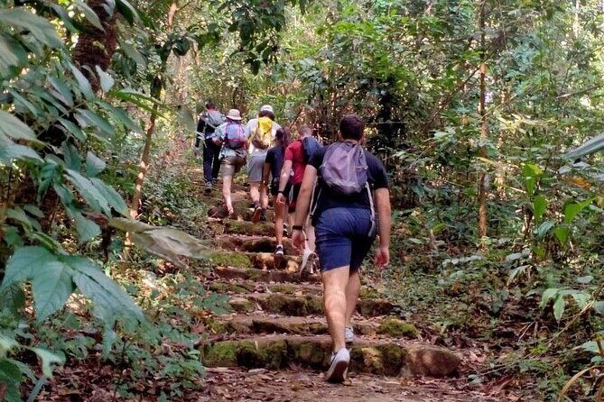 Chiang Mai: Doi Suthep Summit Trek  7 Hour Pure Hiking Adventure - FAQ
