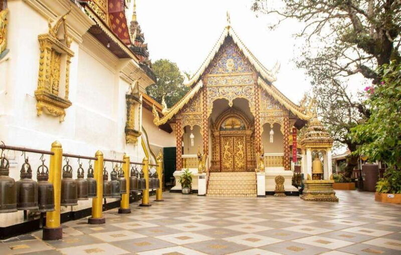 Chiang Mai - Doi Suthep Temple & Wat Pha Lat Hike - Key Points
