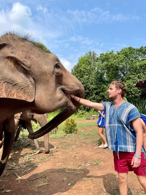 Chiang Mai: Elephant Dream Project Sanctuary - Half-Day - Practical Tips and Considerations