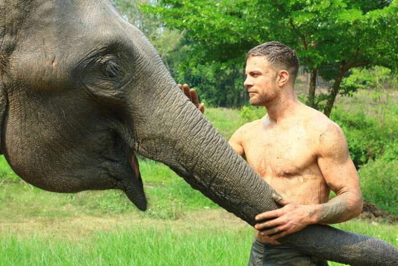 Chiang Mai: Elephant Feeding Experience - What Makes This Tour Special?
