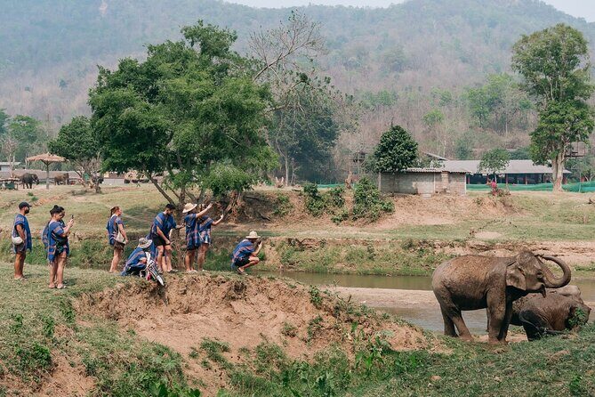 Chiang Mai Elephant Sanctuary, Bamboo Rafting and Waterfall Tour - Food and Additional Inclusions