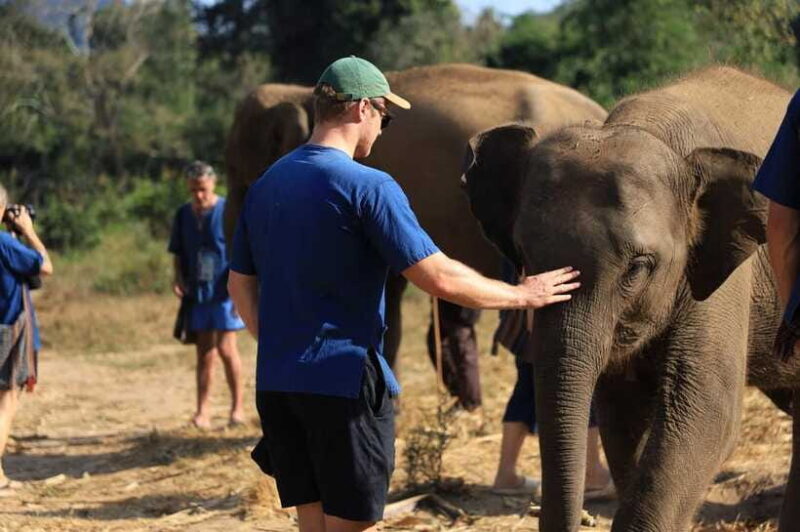Chiang Mai: Elephant Sanctuary & Bamboo Rafting - Who Will Love This Experience?