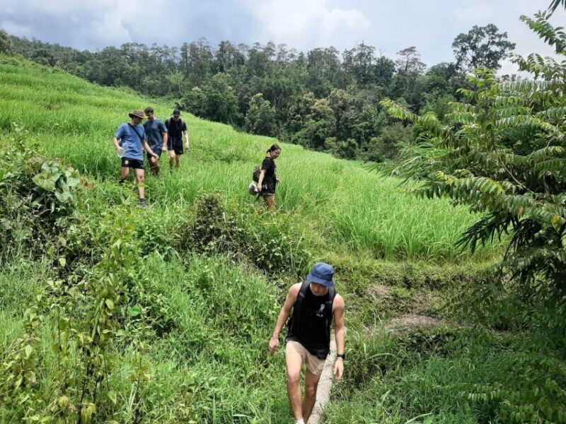 Chiang Mai: Elephant Sanctuary & Jungle Trek w/ Waterfall - An Honest Look at the Itinerary