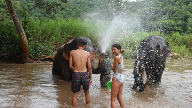 Chiang Mai: Elephant Sanctuary & Jungle Trek w/ Waterfall - Things to Consider