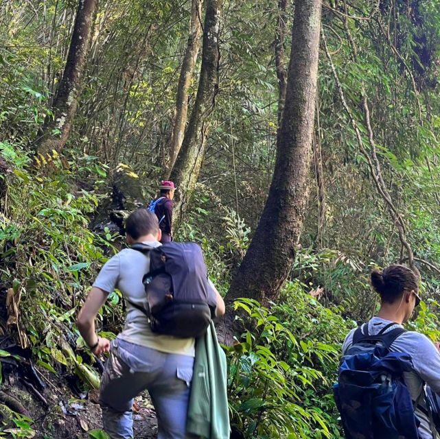 Chiang Mai: Elephant Sanctuary & Jungle Trek w/ Waterfall - FAQs