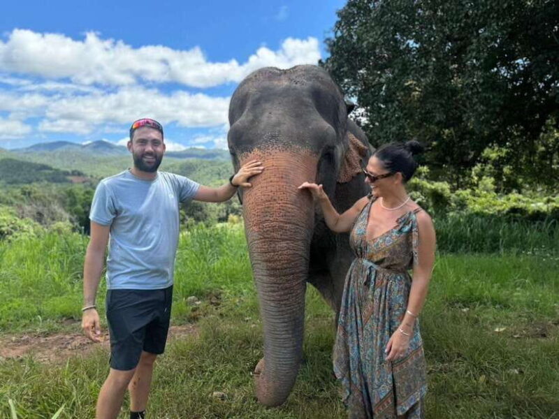 Chiang Mai: Elephant Sanctuary, Monk Trail & Doi Suthep Tour - An In-Depth Look at the Tour Experience