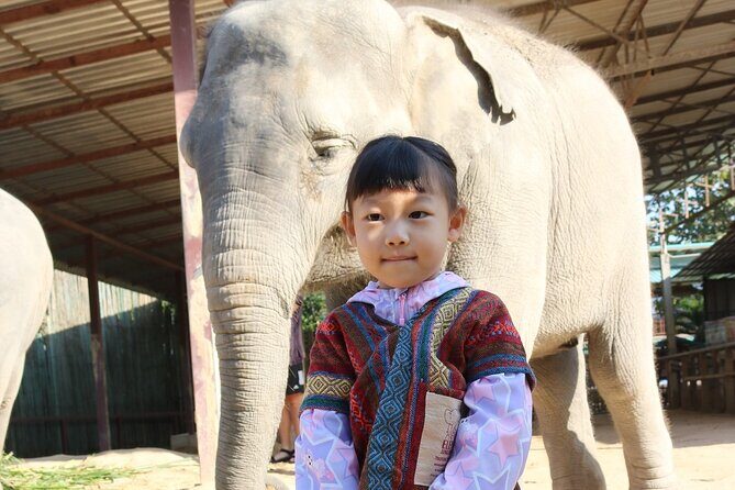 Chiang Mai Elephant Sanctuary Small Group Ethical Tour - A Detailed Look at the Experience