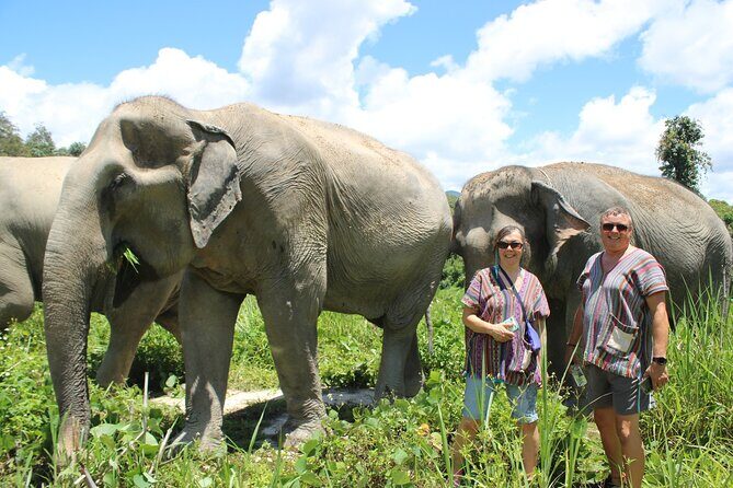 Chiang Mai Elephant Sanctuary Small Group Ethical Tour - FAQ