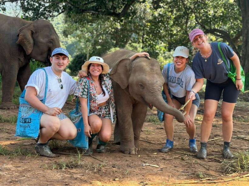 Chiang Mai: Elephant Sanctuary, Waterfall & Bamboo Rafting - Key Points