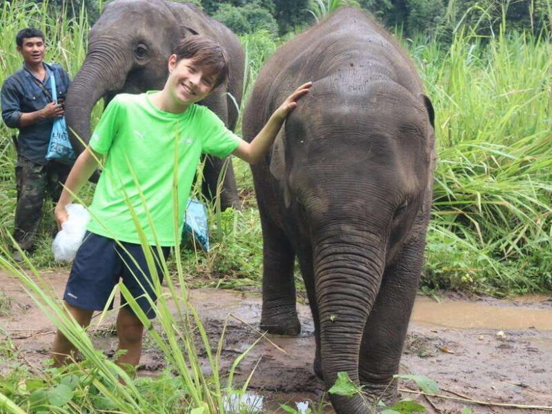 Chiang Mai: Elephant Sanctuary, Waterfall & Bamboo Rafting - Who Would Love This Tour?