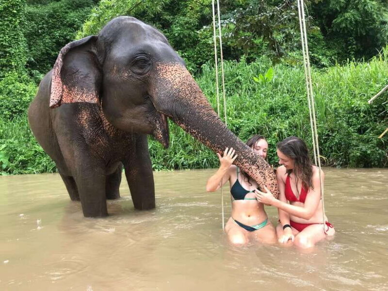 Chiang Mai: Elephant Sanctuary & Waterfall Group Tour - Key Points