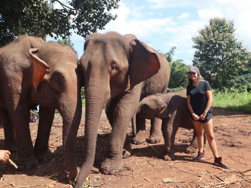 Chiang Mai: Elephant Sanctuary & Waterfall Group Tour - Introduction: A Day of Respectful Encounters and Nature
