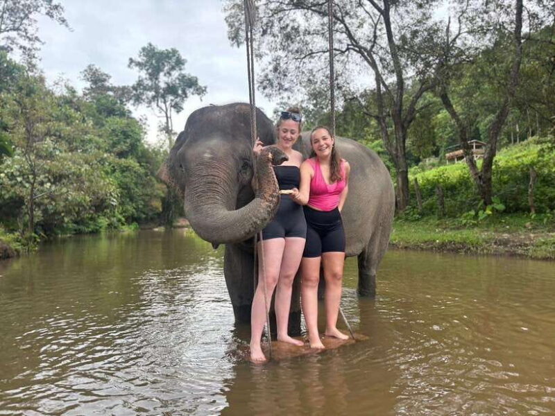 Chiang Mai: Elephant Sanctuary & Waterfall Group Tour - Detailed Breakdown of the Itinerary and What to Expect