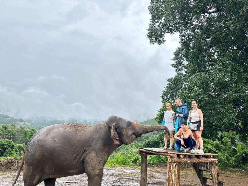 Chiang Mai: Elephant Sanctuary & Waterfall Group Tour - Authentic Experiences and Real Reviews