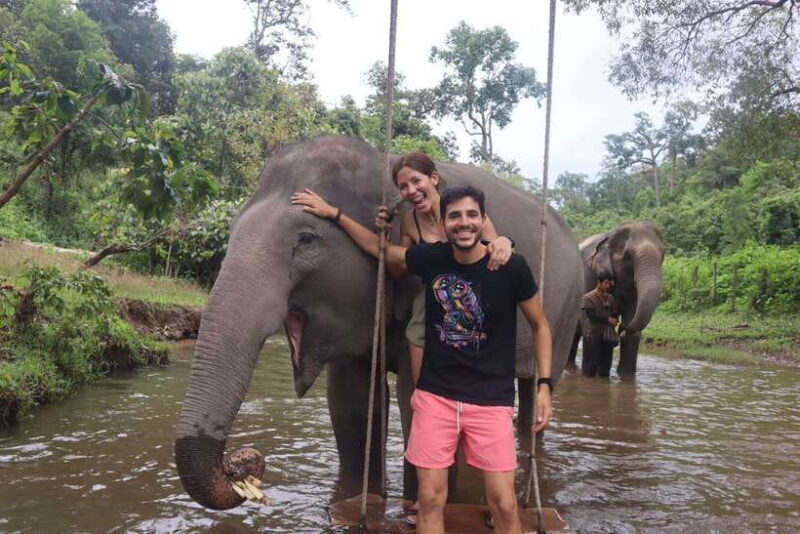 Chiang Mai: Elephant Sanctuary & Waterfall Group Tour - The Value Equation