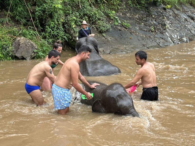 Chiang Mai: Elephant Sanctuary & Waterfall Group Tour - Who Should Consider This Tour?