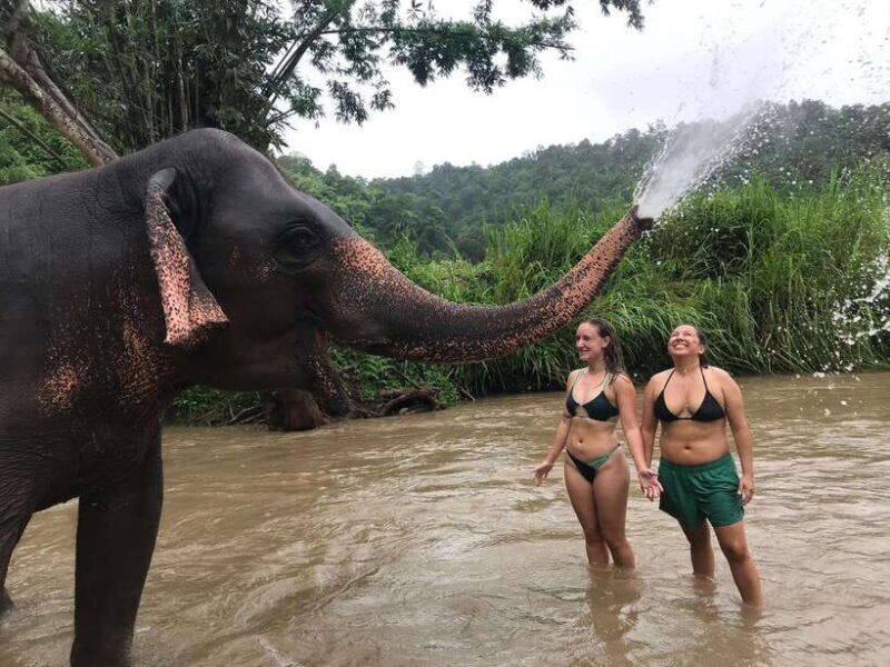 Chiang Mai: Elephant Sanctuary & Waterfall Group Tour - The Sum Up