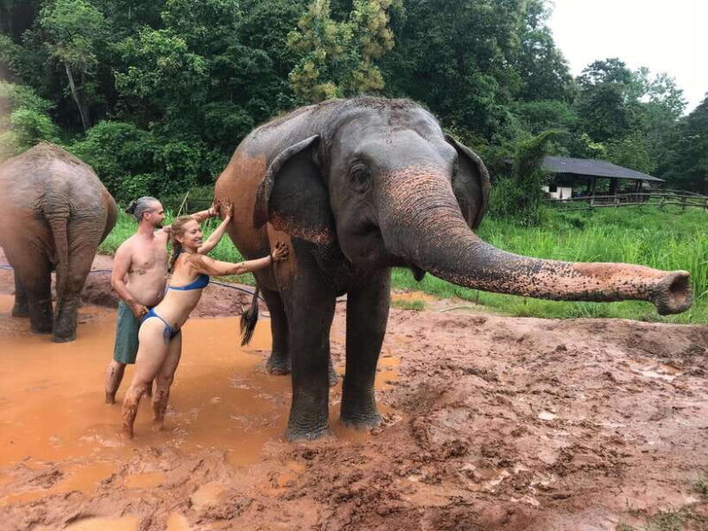 Chiang Mai: Elephant Sanctuary & Waterfall Group Tour - FAQ