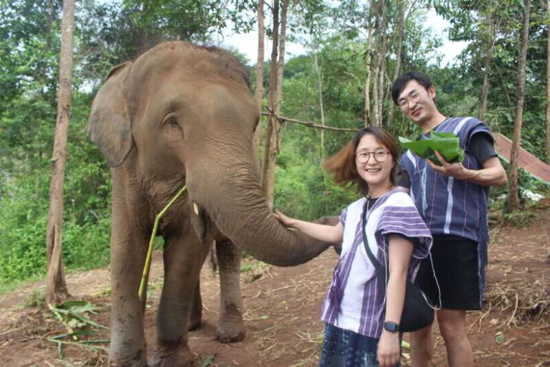 CHIANG MAI ELEPHANT VILLAGE SANCTUARY JUNGLE ADVENTURE - Key Points