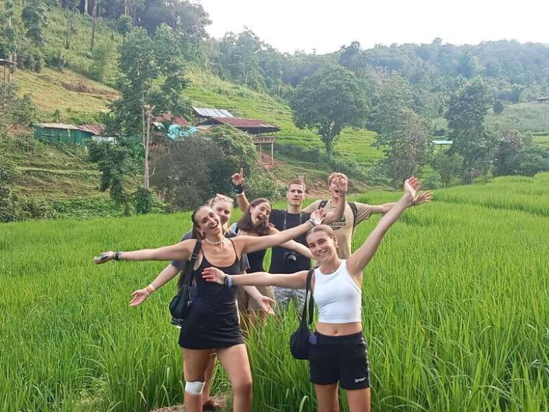 CHIANG MAI ELEPHANT VILLAGE SANCTUARY JUNGLE ADVENTURE - Introduction: Why This Tour Stands Out
