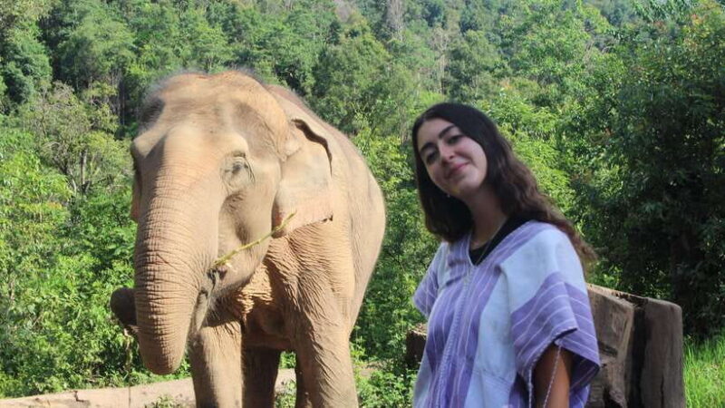 CHIANG MAI ELEPHANT VILLAGE SANCTUARY JUNGLE ADVENTURE - Authentic Encounters & Real Connections