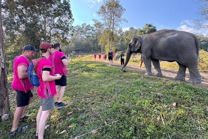Chiang Mai Elephant Watch and Wang River Rafting - Key Points