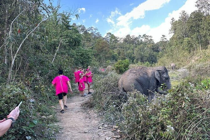 Chiang Mai Elephant Watch and Wang River Rafting - Unpacking the Experience: A Practical Guide