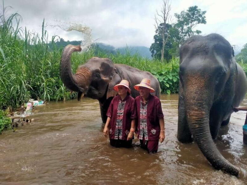 Chiang Mai: Elephants, Sticky Waterfalls, Market and Temple - What Travelers Say