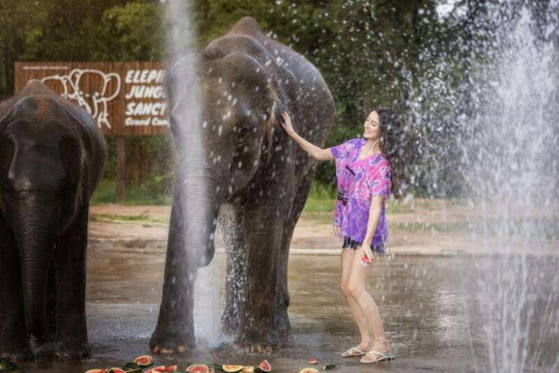 Chiang Mai: Ethical Elephant Feeding & Shower Program - A Genuine, Well-Rounded Encounter with Elephants