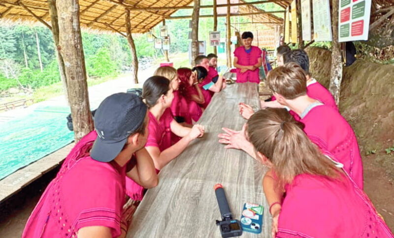 Chiang Mai: Ethical Half Day Elephant Sanctuary & Waterfall - An In-Depth Look at the Tour Experience