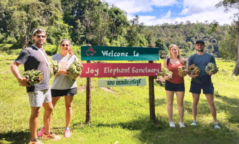 Chiang Mai: Ethical Half Day Elephant Sanctuary & Waterfall - Who Will Enjoy This Tour Most?