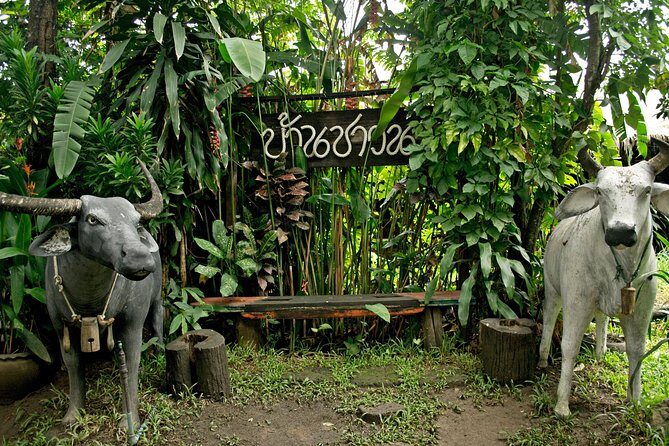 Chiang Mai farming and Khao Soy - Practical Details and Logistics
