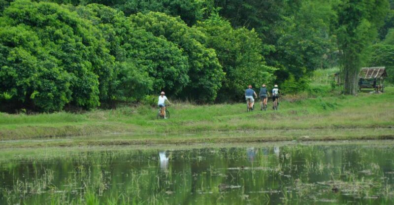 Chiang Mai Fields of Gold Cycling Tour - Who Should Consider This Tour?