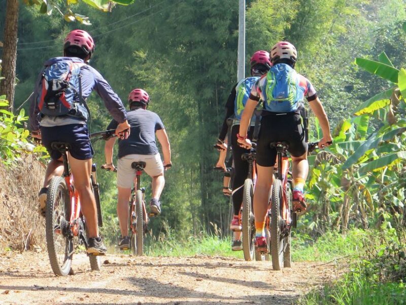 Chiang Mai Fields of Gold Cycling Tour - The Sum Up